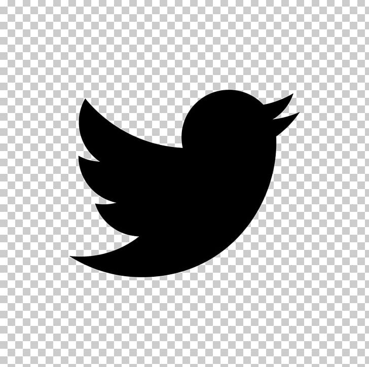 Social Media Internet Blog Twitter PNG, Clipart, Advertising, Beak, Bird, Black And White, Blog Free PNG Download