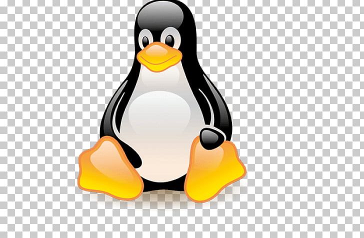 Tux Racer Penguin Linux Kernel PNG, Clipart, Android, Animals, Beak, Bird, Computer Software Free PNG Download