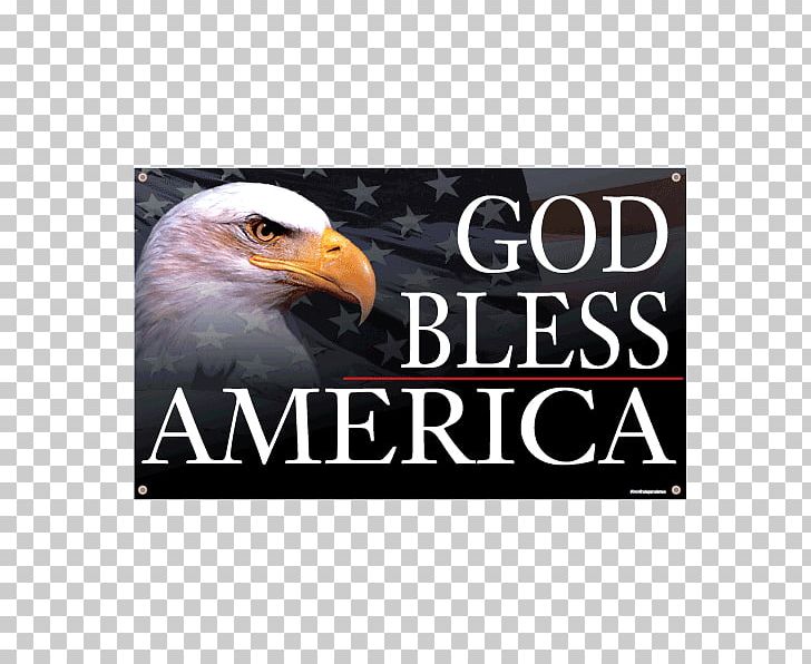 United States New American Bible Old Testament Numbers: An Exegetical And Theological Exposition Of Holy Scripture PNG, Clipart, Advertising, Beak, Bible, Bird Of Prey, Book Free PNG Download