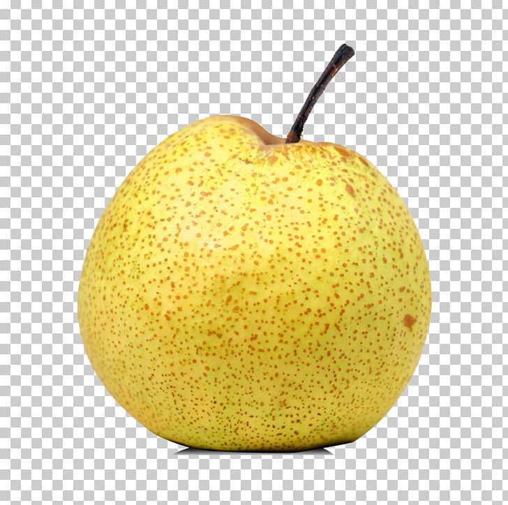 Asian Pear U7800u5c71u9165u68a8 Yamanashi Prefecture PNG, Clipart, Apple, Asian Pear, Dangshan, Dangshan County, Dangshan Pear Free PNG Download