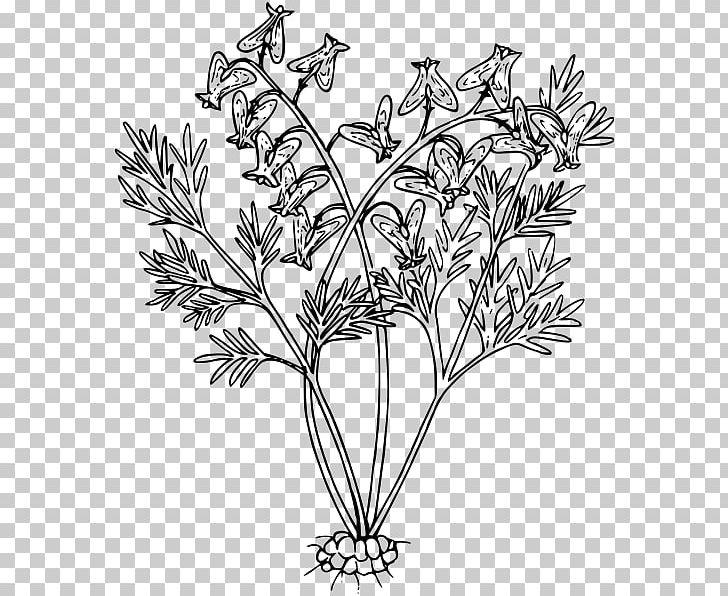 Black And White Line Art Floral Design Drawing Photography PNG, Clipart, Art, Black And White, Branch, Breeches, Cut Flowers Free PNG Download