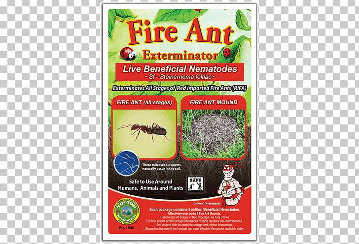 Fire Ant Insect Pest Control PNG, Clipart, Advertising, Animals, Ant, Bait, Exterminator Free PNG Download