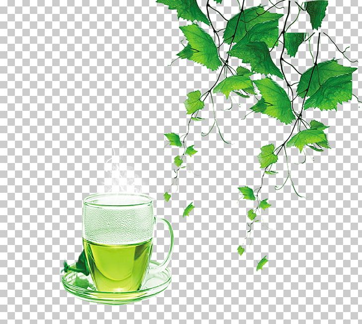 Green Tea Puer Tea PNG, Clipart, Alternative Medicine, Background Green, Branch, Coffee Cup, Cup Free PNG Download