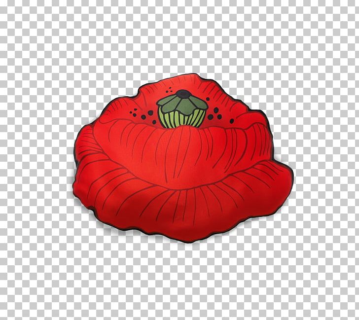 Rectangle PNG, Clipart, Coquelicot, Flower, Others, Petal, Poppy Free PNG Download