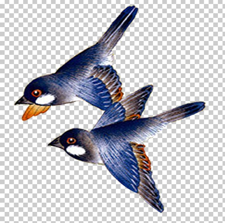 Bird Hirundininae Ink Wash Painting PNG, Clipart, Beak, Bird, Blue, Blue Swallow, Chinese Free PNG Download