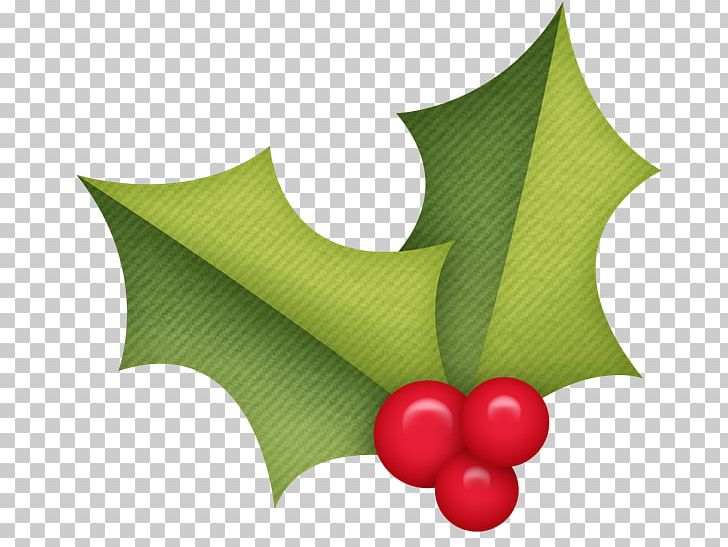 Holly Aquifoliales PNG, Clipart, Aquifoliaceae, Aquifoliales, Biscuits, Depositfiles, Garrafa De Heineken Free PNG Download