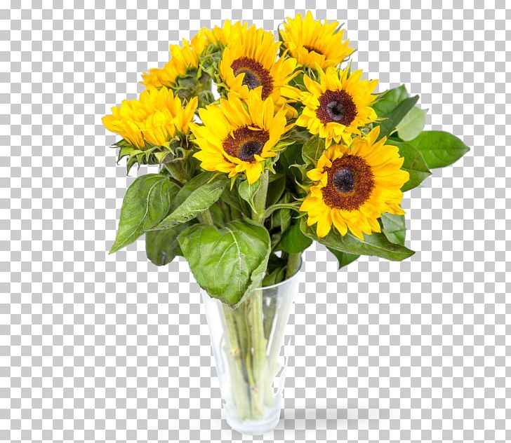 Common Sunflower Cut Flowers Flower Bouquet Floral Design PNG, Clipart, Annual Plant, Arrangement, Artificial Flower, Cattleya Orchids, Color Free PNG Download