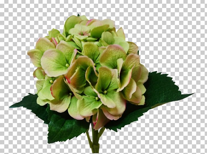 Hydrangea Cut Flowers Flower Bouquet Artificial Flower PNG, Clipart, Artificial Flower, Cornales, Cut Flowers, Floral Design, Floristry Free PNG Download