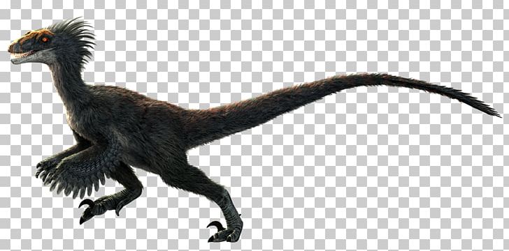 Velociraptor Primal Carnage: Extinction Dinosaur Tyrannosaurus PNG, Clipart, Acrocanthosaurus, Animal Figure, Animals, Beak, Bearded Dragon Free PNG Download