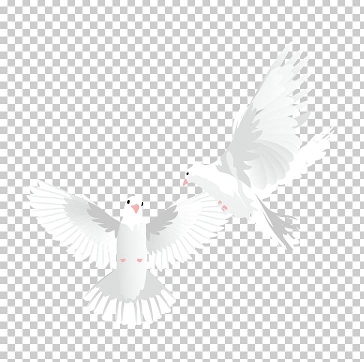 Beak Feather Pattern PNG, Clipart, Animals, Beak, Bird, Computer, Computer Wallpaper Free PNG Download