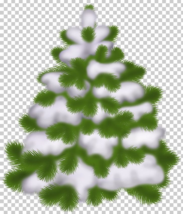 Christmas Tree PNG, Clipart, Branch, Christmas, Christmas Decoration, Christmas Ornament, Christmas Tree Free PNG Download