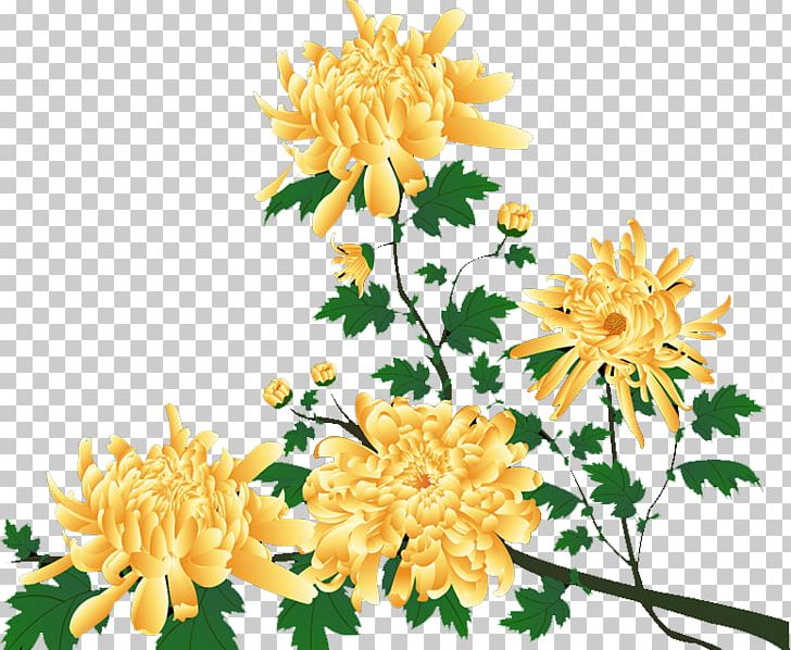 Dahlia Chrysanthemum Floral Design Cut Flowers PNG, Clipart, Beautiful, Chrysanthemum Chrysanthemum, Chrysanthemums, Chrysanthemum Tea, Chrysanths Free PNG Download