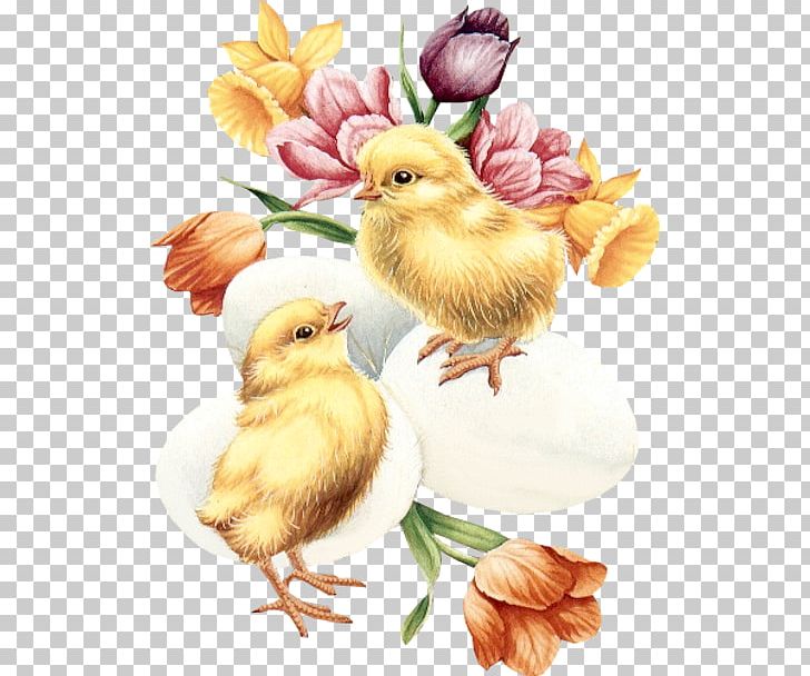 Easter Greeting Card Victorian Era PNG, Clipart, Animal, Animals, Art, Beak, Bird Free PNG Download