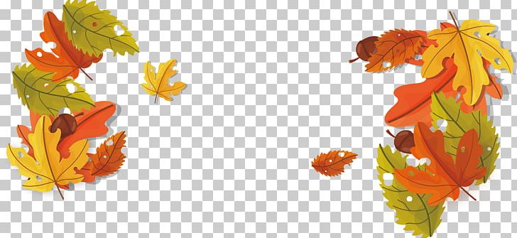 Maple Leaf Euclidean PNG, Clipart, Autumn, Autumn Leaf, Autumn Leaf Color, Autumn Maple Leaves, Banner Vector Free PNG Download