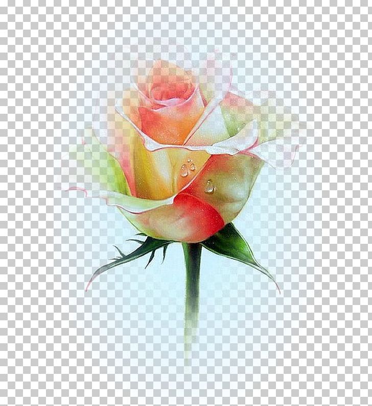 Watercolor Painting Decoupage Art PNG, Clipart, Art, Artificial Flower, Askartelu, Birthday, Bud Free PNG Download