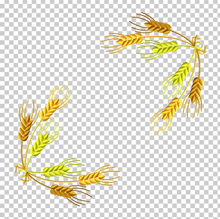 Wheat Flour PNG, Clipart, Branch, Cartoon Wheat, Commodity, Download, Editing Free PNG Download