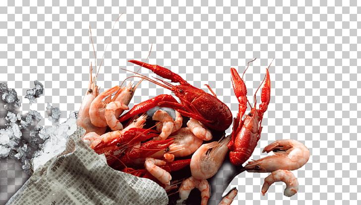 Rud. Kanzow GmbH & Co. KG Seafood Crayfish As Food PNG, Clipart, Animals, Animal Source Foods, Cold Chain, Crayfish As Food, Decapoda Free PNG Download