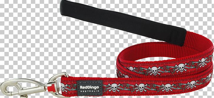 Leash Dog Dingo Collar Lead PNG, Clipart, Collar, Color, Dingo, Dog, Fashion Accessory Free PNG Download