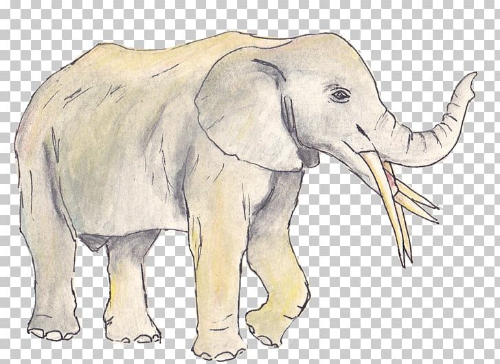 African Elephant Indian Elephant Animal Tusk PNG, Clipart, African, Animal, Animal Figure, Animals, Asian Elephant Free PNG Download