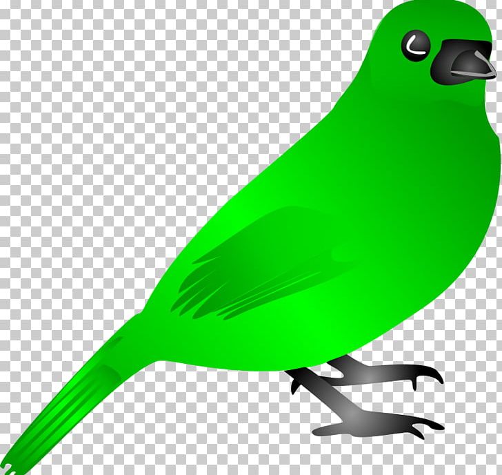Bird Flight Green PNG, Clipart, Beak, Bird, Bird Flight, Blog, Blue Bird Clipart Free PNG Download