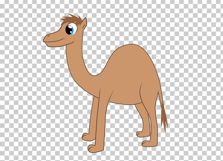 Dromedary Horse Camel Wildlife PNG, Clipart, Animal, Animal Figure, Animals, Arabian Camel, Camel Free PNG Download