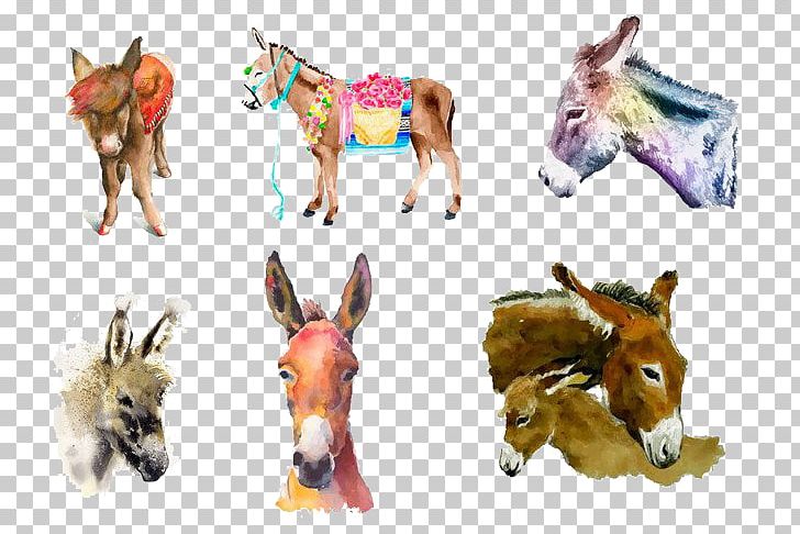 Watercolor Painting Donkey PNG, Clipart, Animals, Art, Download, Fauna, Fresh Free PNG Download