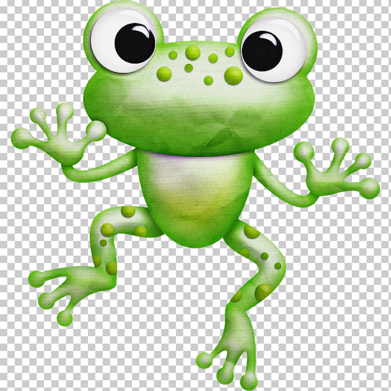 Frog Green True Frog Tree Frog Hyla PNG, Clipart, Agalychnis, Animal Figure, Animation, Bullfrog, Cartoon Free PNG Download