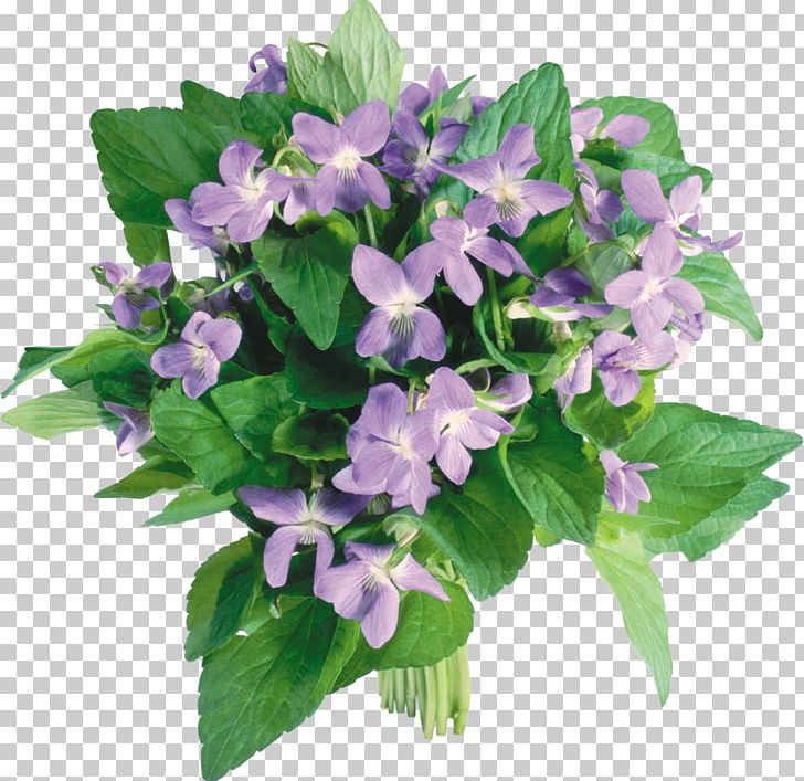 Flower Bouquet Violet Tulip PNG, Clipart, Annual Plant, Bellflower Family, Cut Flowers, Dahlia, Desktop Wallpaper Free PNG Download