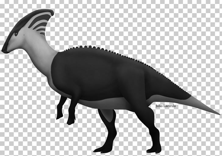 Parasaurolophus Dinosaur Troodon Lambeosaurus Rhabdodon PNG, Clipart, Animal, Art, Beak, Camptosaurus, Dev Free PNG Download