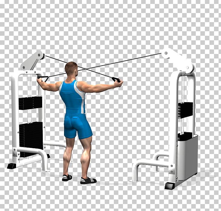 Shoulder Rear Delt Raise Physical Fitness Exercise Deltoid Muscle PNG, Clipart, Abdomen, Arm, Balance, Barbell, Cable Machine Free PNG Download
