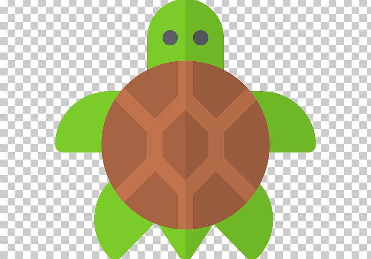 Tortoise Sea Turtle Roblox PNG, Clipart, Circle, Green, Organism, Reptile, Roblox Free PNG Download
