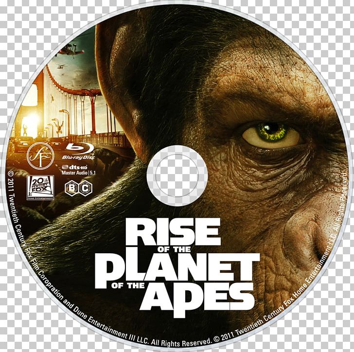 Planet Of The Apes El Planeta De Los Simios Blu-ray Disc Film 0 PNG, Clipart, 720p, 2011, Bluray Disc, Cinema, Dawn Of The Planet Of The Apes Free PNG Download