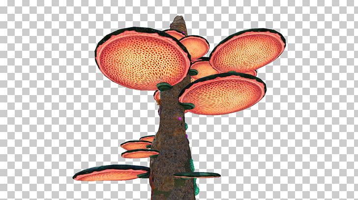 Tree Erythrina PNG, Clipart, Cartoon, Clip Art, Coral, Coral Tree, Coral Tree Cliparts Free PNG Download