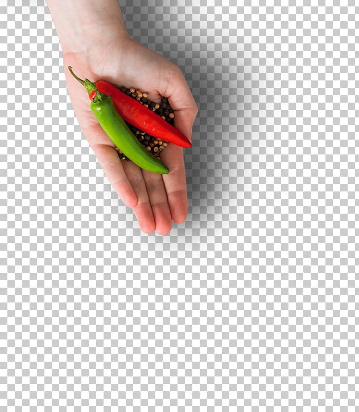 Chili Pepper Spicentice Nail Family PNG, Clipart, Bell Pepper, Bell Peppers And Chili Peppers, Case Study, Chili Pepper, Closeup Free PNG Download