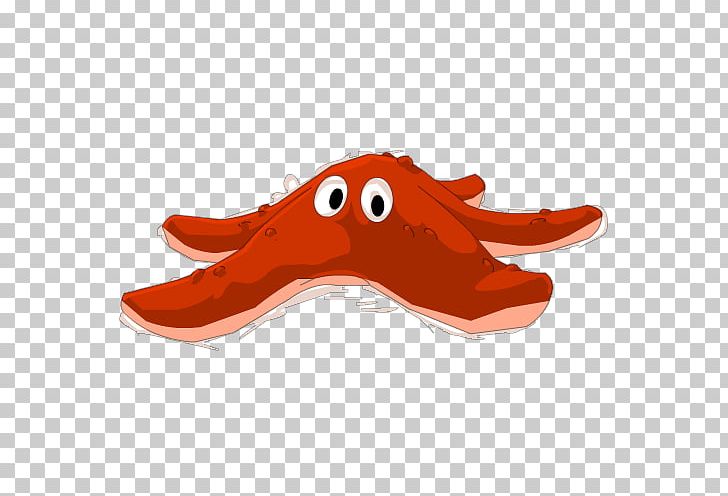 Starfish Sea Invertebrate Animation PNG, Clipart, Animals, Animation, Caracola, Cartoon, Invertebrate Free PNG Download