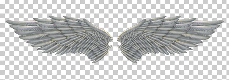 Feather Angel Angel Wings Png PNG, Clipart, Angel, Angel Wings, Angel Wings Png, Art Angel, Beak Free PNG Download