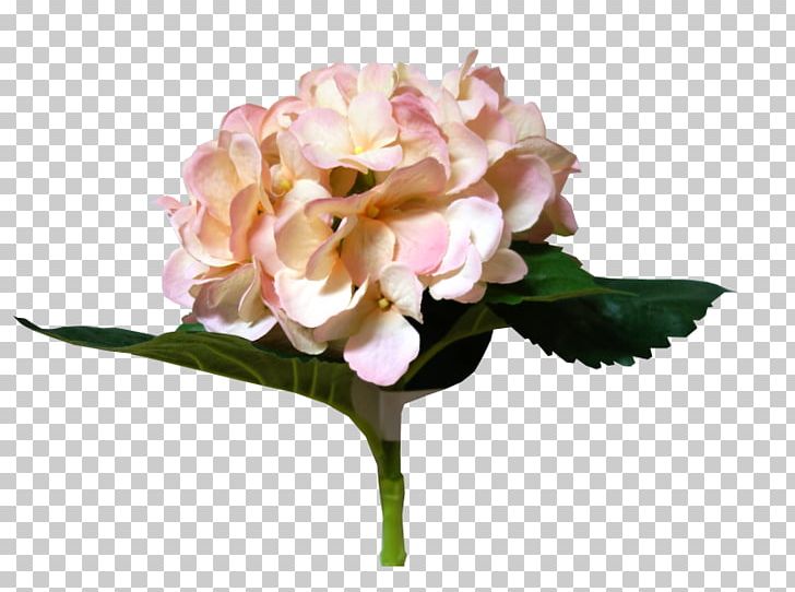 Hydrangea Cut Flowers Floral Design Flower Bouquet PNG, Clipart, Artificial Flower, Cornales, Cut Flowers, Floral Design, Flower Free PNG Download