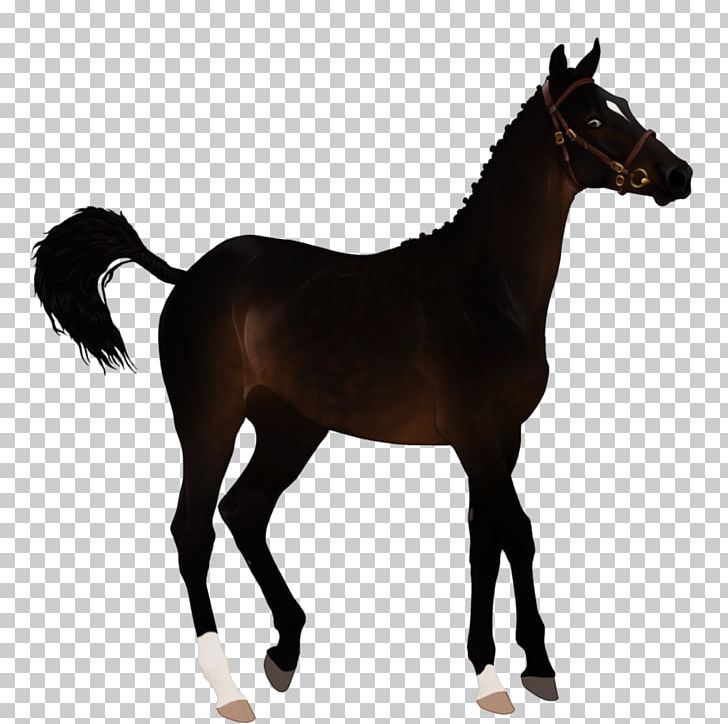 Mustang Foal Colt Stallion Mare PNG, Clipart, After The Breeding Season, Art, Bridle, Colt, Foal Free PNG Download