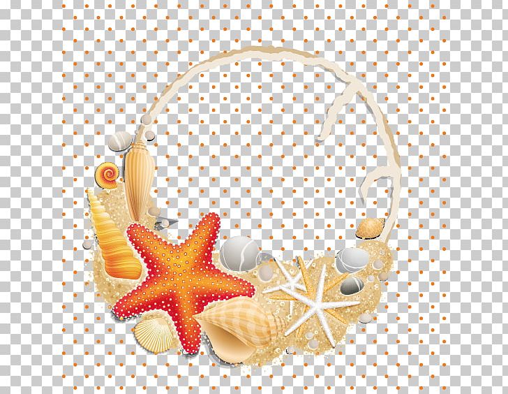 Seashell PNG, Clipart, Basket, Basket Of Apples, Baskets, Basket Vector, Beach Free PNG Download