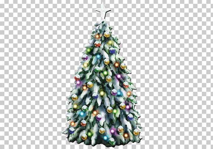Christmas Tree Spruce Christmas Ornament HOME QUEEN PNG, Clipart, Christmas, Christmas Decoration, Christmas Ornament, Christmas Tree, Conifer Free PNG Download