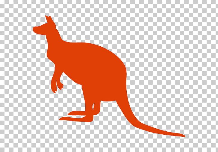 Macropodidae Kangaroo Silhouette PNG, Clipart, Animal, Animal Figure, Animals, Carnivoran, Computer Icons Free PNG Download