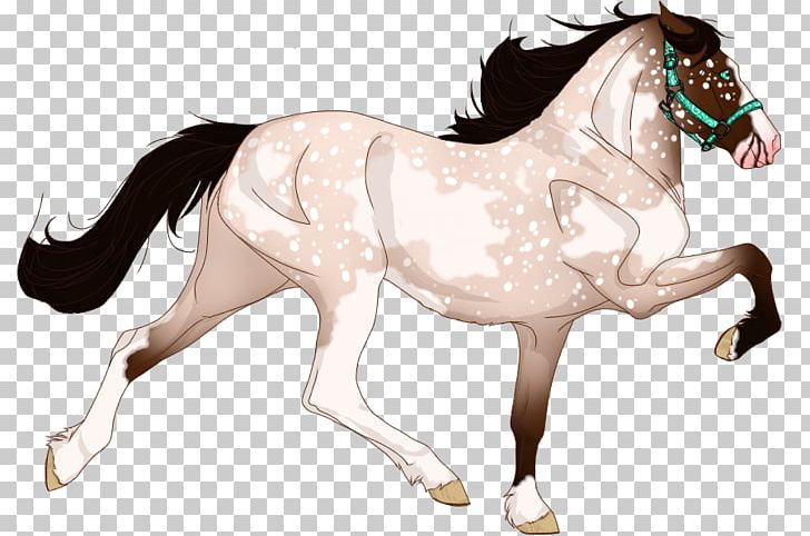 Mane Mustang Stallion Foal Pony PNG, Clipart, Bridle, Eques, Fictional Character, Fierce, Foal Free PNG Download