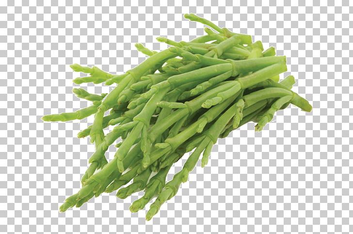 Salicornia Europaea Common Bean Samphire Stock Photography Food PNG, Clipart, Asparagus, Bean, Beans, Chenopodioideae, Common Bean Free PNG Download