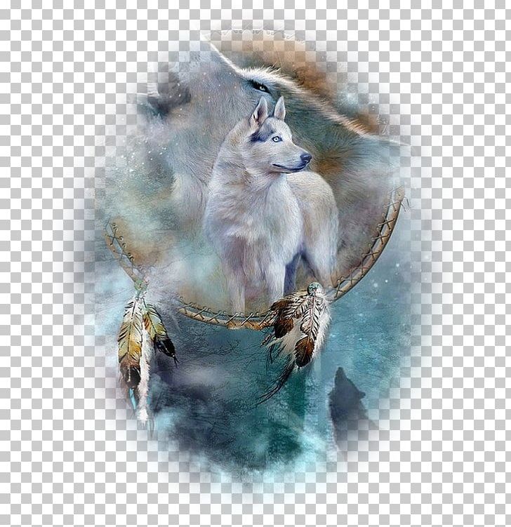 Dreamcatcher Gray Wolf Native Americans In The United States Blanket PNG, Clipart, Canvas, Canvas Print, Child, Dog Like Mammal, Dream Free PNG Download