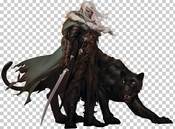 Dungeons & Dragons The Companions: The Sundering The Legacy Drizzt Do'Urden House Do'Urden PNG, Clipart,  Free PNG Download