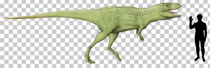 Indosaurus Tyrannosaurus Indosuchus Isisaurus Abelisaurus PNG, Clipart, Abelisauridae, Abelisaurus, Animal Figure, Carnotaurus, Cretaceous Free PNG Download