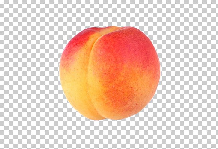 Peach PNG, Clipart, Apple, Apricot, Computer Icons, Correct, Desktop Wallpaper Free PNG Download