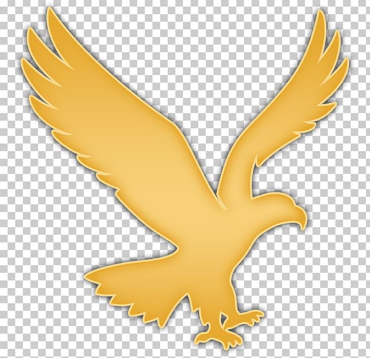 Bald Eagle Logo Png Clipart Animal Animals Bald Eagle
