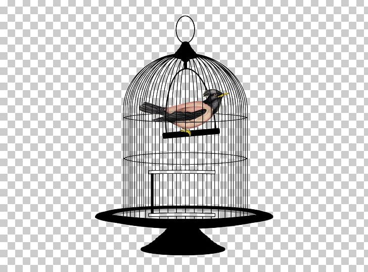 Parrot Lovebird Birdcage PNG, Clipart, Animals, Bird, Birdcage, Cage, Lovebird Free PNG Download