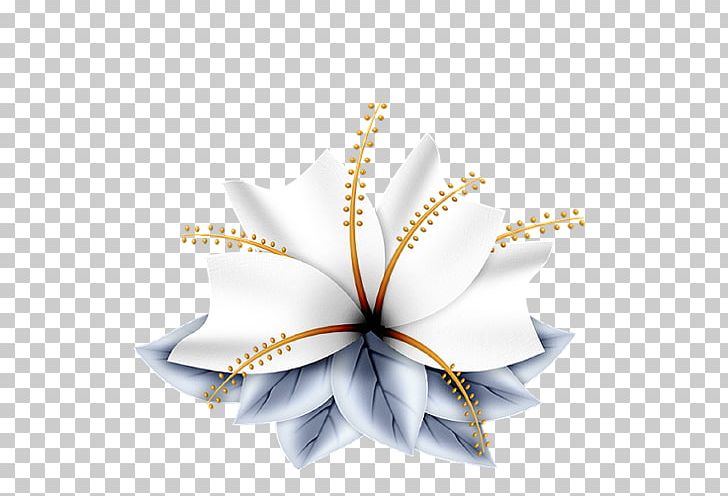 Petal Drawing Flower PNG, Clipart, Cartoon, Computer Wallpaper, Dark Color, Dark Flowers, Data Compression Free PNG Download